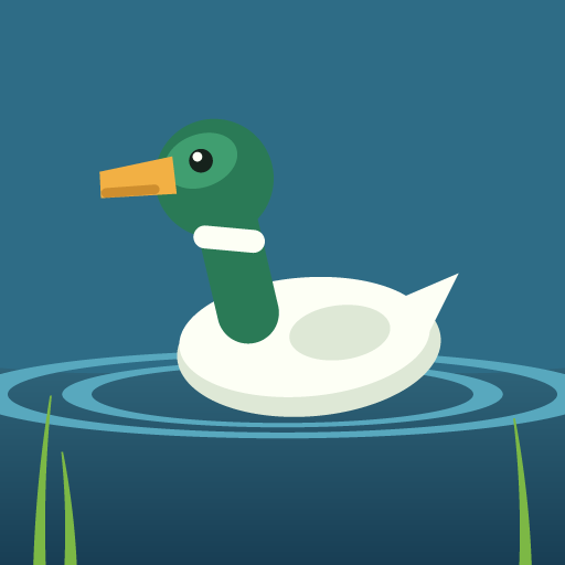 AquaDuckz — a mallard on open water